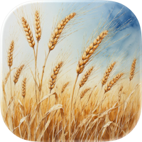 Wheat Yield Estimator